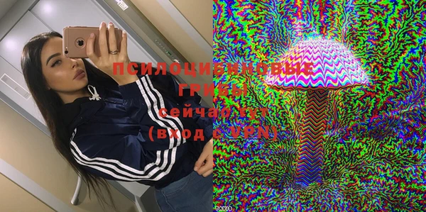 крисы Белоозёрский