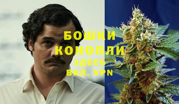 шишки Балахна