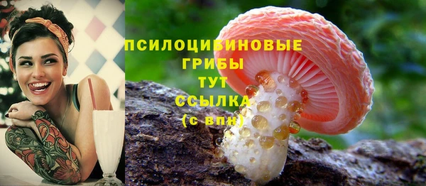 спайс Баксан