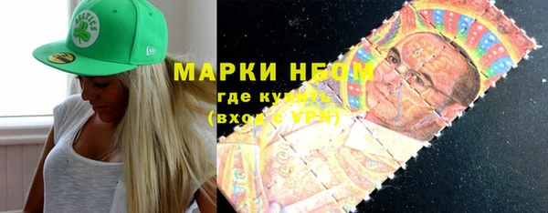 шишки Балахна