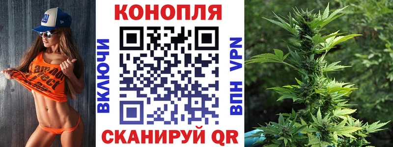 mega ссылка  Кодинск  Канабис Amnesia 